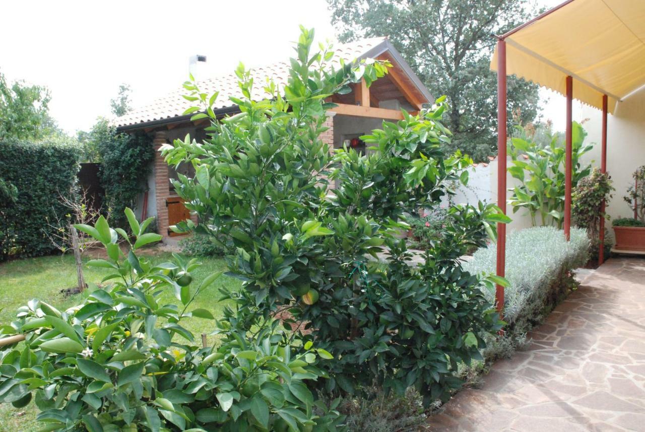 Apartmani Radin Rosini Exterior foto